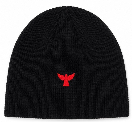 RUINS ARC BEANIE