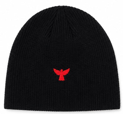 RUINS ARC BEANIE